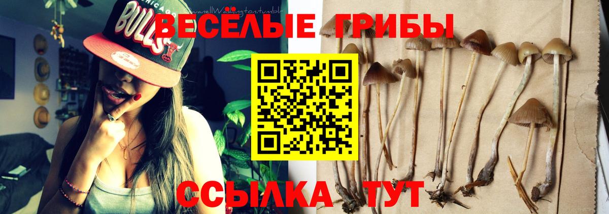 Псилоцибиновые грибы мухоморы Морозовск