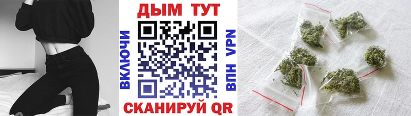 как найти закладки  МЕГА зеркало  Канабис семена  Морозовск 